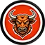Toros